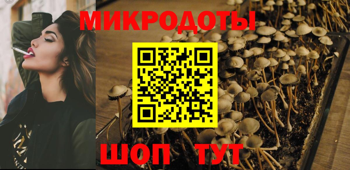 Псилоцибиновые грибы Psilocybine cubensis Азов