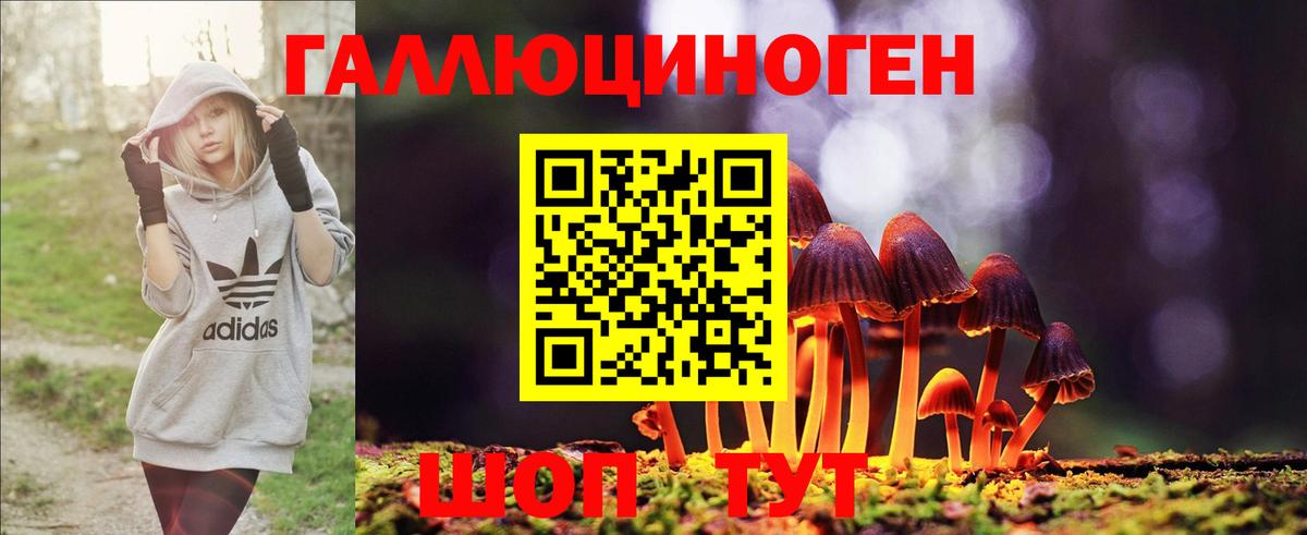 где найти   Вход с VPN  Азов  Псилоцибиновые грибы Psilocybe 